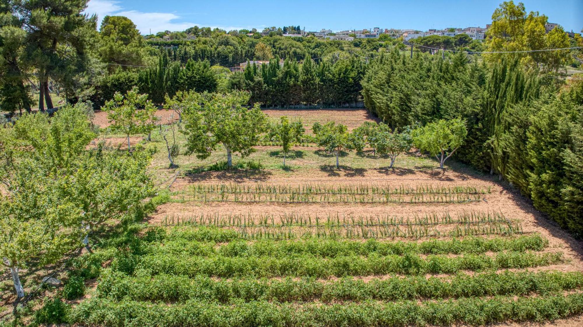 Biomasseria Santa Lucia Alessano Exteriör bild